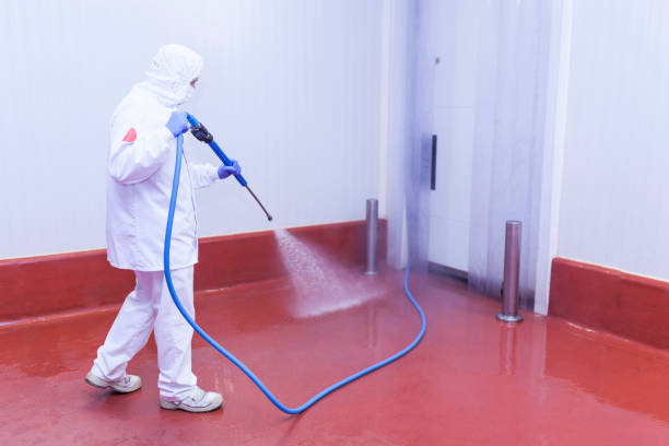 Best Deck and Patio Pressure Washing in Youngtown, AZ